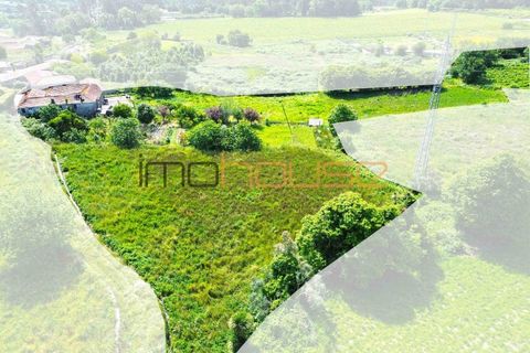 Farm i Paredes, Porto, Paredes - € 300.000 | Ref: 00667FR - foto 20