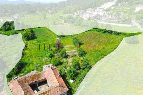 Farm i Paredes, Porto, Paredes - € 300.000 | Ref: 00667FR - foto 21