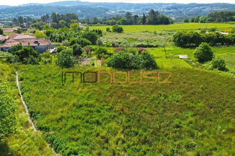 Farm i Paredes, Porto, Paredes - € 300.000 | Ref: 00667FR - foto 22