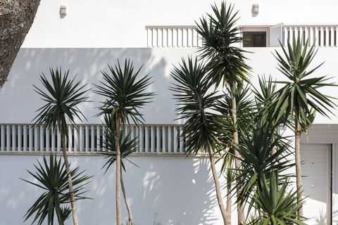 Byhus i Llucmajor, Mallorca, Llucmajor - € 3.450.000 | Ref: SPCRM3287 - foto 30