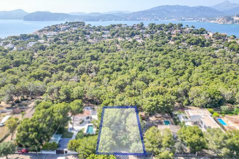 Villa i Santa Ponsa, Mallorca, Santa Ponsa - € 2.990.000 | Ref: 81 - foto 6