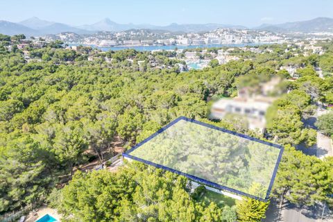 Villa i Santa Ponsa, Mallorca, Santa Ponsa - € 2.990.000 | Ref: 81 - foto 8