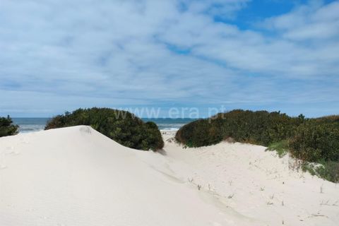 Terra a Murtosa, Aveiro, Murtosa - € 3.000.000 | Ref: 417250021 - foto 2