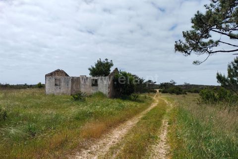 Terra a Murtosa, Aveiro, Murtosa - € 3.000.000 | Ref: 417250021 - foto 3