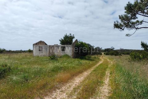 Terra a Murtosa, Aveiro, Murtosa - € 3.000.000 | Ref: 417250021 - foto 4