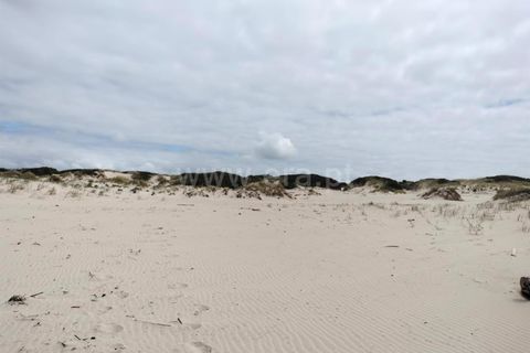 Terra a Murtosa, Aveiro, Murtosa - € 3.000.000 | Ref: 417250021 - foto 5