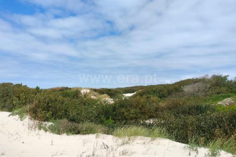 Terra a Murtosa, Aveiro, Murtosa - € 3.000.000 | Ref: 417250021 - foto 6
