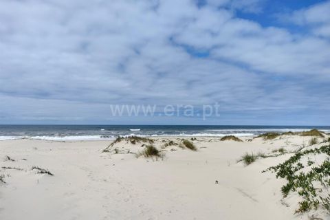 Terra a Murtosa, Aveiro, Murtosa - € 3.000.000 | Ref: 417250021 - foto 7