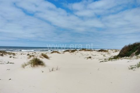 Terra a Murtosa, Aveiro, Murtosa - € 3.000.000 | Ref: 417250021 - foto 8