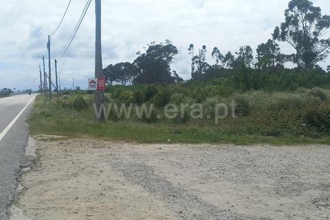 Terra a Murtosa, Aveiro, Murtosa - € 3.000.000 | Ref: 417250021 - foto 9