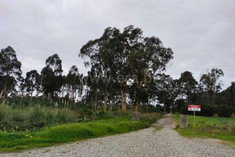 Terra a Murtosa, Aveiro, Murtosa - € 3.000.000 | Ref: 417250021 - foto 10