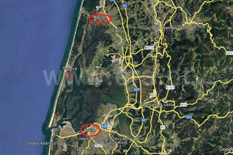 Terra a Murtosa, Aveiro, Murtosa - € 3.000.000 | Ref: 417250021 - foto 12