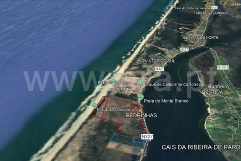 Terra a Murtosa, Aveiro, Murtosa - € 3.000.000 | Ref: 417250021 - foto 13