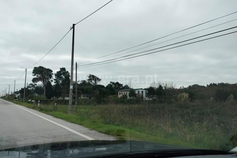 Terra a Murtosa, Aveiro, Murtosa - € 3.000.000 | Ref: 417250021 - foto 14