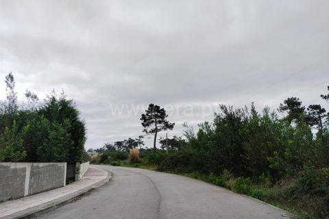 Terra a Murtosa, Aveiro, Murtosa - € 3.000.000 | Ref: 417250021 - foto 15