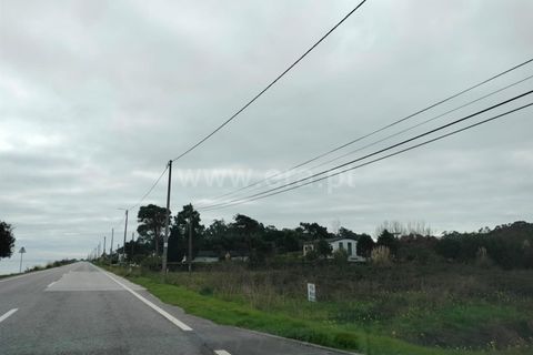 Terra a Murtosa, Aveiro, Murtosa - € 3.000.000 | Ref: 417250021 - foto 16
