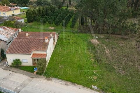 Terra a Mealhada, Aveiro, Mealhada - € 65.000 | Ref: LUX_CB-00699 - foto 2