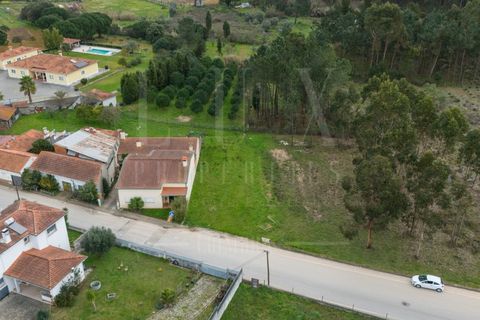 Terra a Mealhada, Aveiro, Mealhada - € 65.000 | Ref: LUX_CB-00699 - foto 5