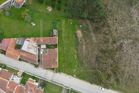 Terra a Mealhada, Aveiro, Mealhada - € 65.000 | Ref: LUX_CB-00699 - foto 6
