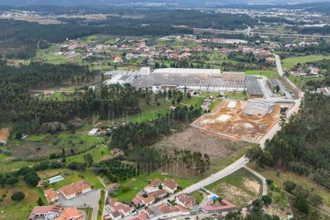 Terra a Mealhada, Aveiro, Mealhada - € 65.000 | Ref: LUX_CB-00699 - foto 8