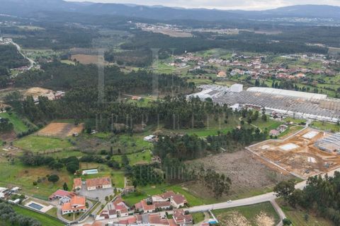 Terra a Mealhada, Aveiro, Mealhada - € 65.000 | Ref: LUX_CB-00699 - foto 10