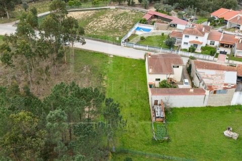 Terra a Mealhada, Aveiro, Mealhada - € 65.000 | Ref: LUX_CB-00699 - foto 19
