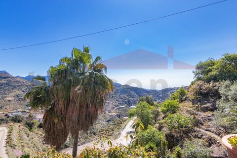 Landejendom i Sayalonga, Malaga, Sayalonga - € 365.000 | Ref: 25028 - foto 33