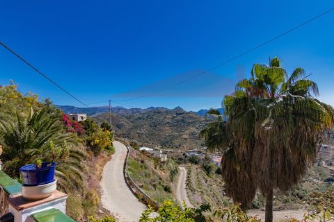 Landejendom i Sayalonga, Malaga, Sayalonga - € 365.000 | Ref: 25028 - foto 34