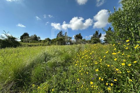 Helårsgrund i Mafra, Lisbon, Mafra - € 79.000 | Ref: V25177 - foto 8