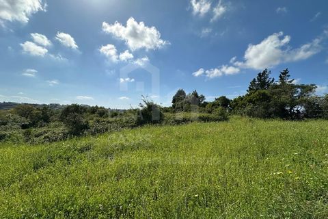 Helårsgrund i Mafra, Lisbon, Mafra - € 79.000 | Ref: V25177 - foto 5