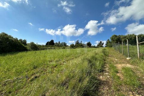 Helårsgrund i Mafra, Lisbon, Mafra - € 79.000 | Ref: V25177 - foto 10