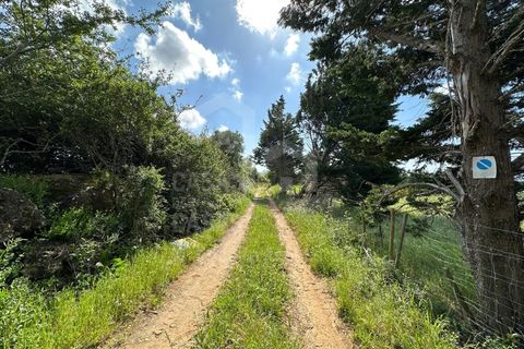 Helårsgrund i Mafra, Lisbon, Mafra - € 79.000 | Ref: V25177 - foto 13
