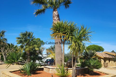 Villa i Marsillargues, Herault, Marsillargues - € 772.000 | Ref: 621-MILLIONCAB - foto 5