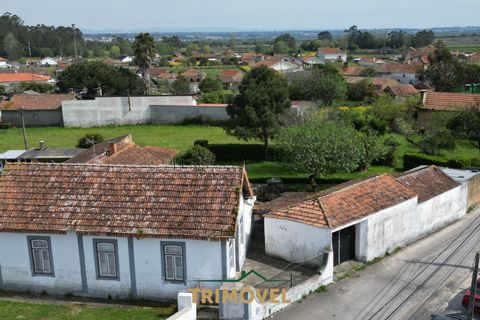 Villa a Estarreja, Aveiro, Estarreja - € 225.000 | Ref: TRI556 - foto 2
