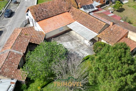 Villa a Estarreja, Aveiro, Estarreja - € 225.000 | Ref: TRI556 - foto 3