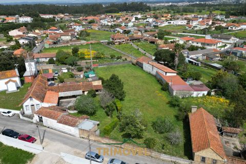 Villa a Estarreja, Aveiro, Estarreja - € 225.000 | Ref: TRI556 - foto 4