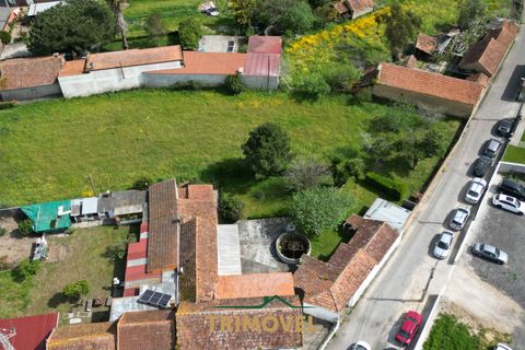 Villa a Estarreja, Aveiro, Estarreja - € 225.000 | Ref: TRI556 - foto 5
