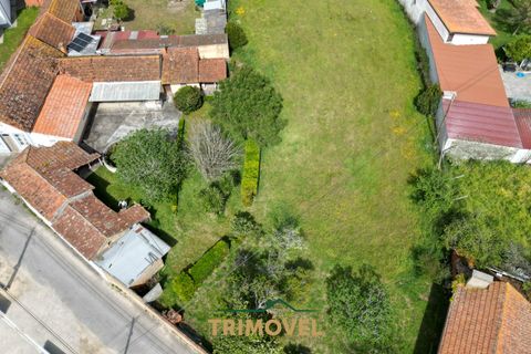 Villa a Estarreja, Aveiro, Estarreja - € 225.000 | Ref: TRI556 - foto 6