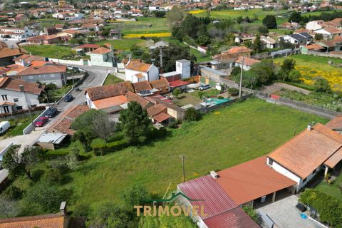 Villa a Estarreja, Aveiro, Estarreja - € 225.000 | Ref: TRI556 - foto 8