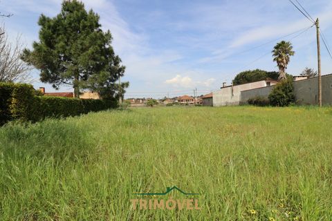 Villa a Estarreja, Aveiro, Estarreja - € 225.000 | Ref: TRI556 - foto 18