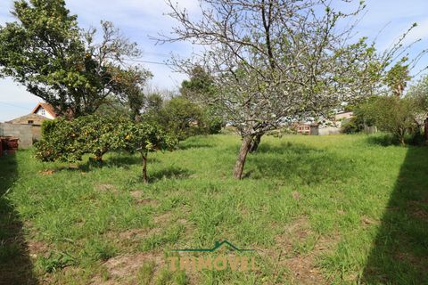Villa a Estarreja, Aveiro, Estarreja - € 225.000 | Ref: TRI556 - foto 19