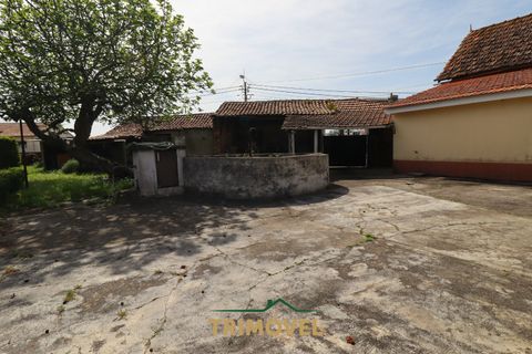 Villa a Estarreja, Aveiro, Estarreja - € 225.000 | Ref: TRI556 - foto 24