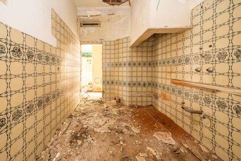 Erhvervsejendom i Setubal, Setubal, Setubal - € 725.000 | Ref: C0237-02648 - foto 24