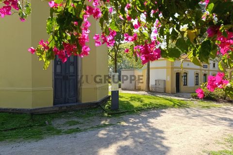 Lejlighed i Aveiro, Aveiro, Aveiro - € 500.000 | Ref: MRAVR_ZG_120173_P (2) - foto 20