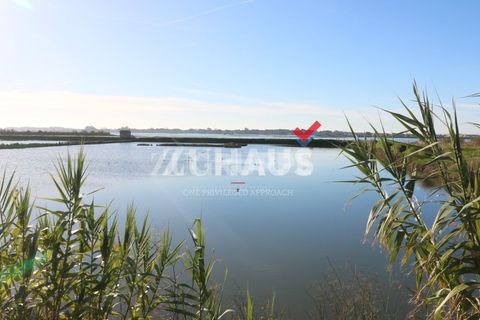 Villa i Aveiro, Aveiro, Aveiro - € 825.000 | Ref: ZS_5847 (2) - foto 8