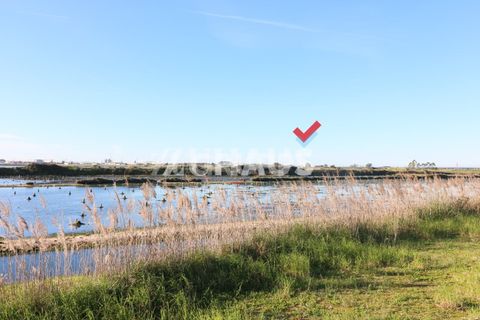Villa i Aveiro, Aveiro, Aveiro - € 825.000 | Ref: ZS_5847 (2) - foto 9