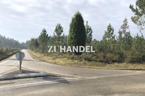 Helårsgrund i Anadia, Aveiro, Anadia - € 322.000 | Ref: ZS_5778 (2) - foto 1