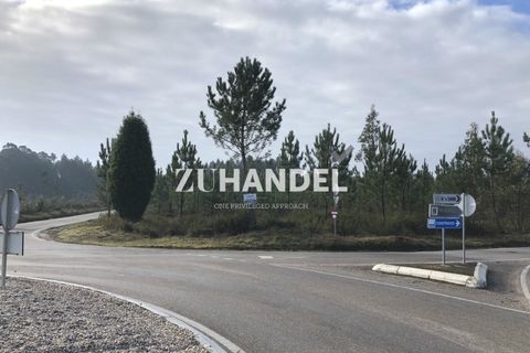 Helårsgrund i Anadia, Aveiro, Anadia - € 322.000 | Ref: ZS_5778 (2) - foto 3