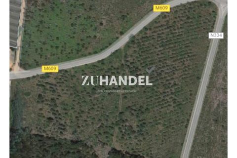 Helårsgrund i Anadia, Aveiro, Anadia - € 322.000 | Ref: ZS_5778 (2) - foto 5