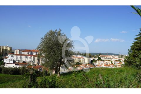 Helårsgrund i Coimbra, Coimbra, Coimbra - € 130.000 | Ref: cbr3298 - foto 6